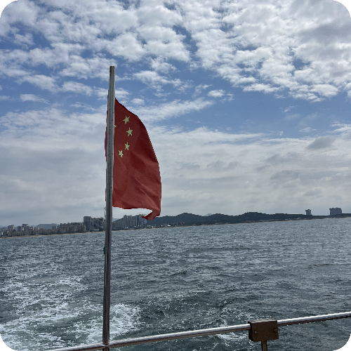 专家头像