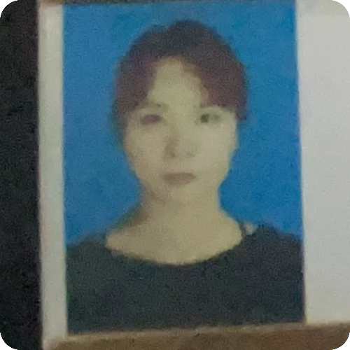 宋王琴