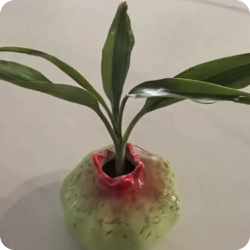 周讳