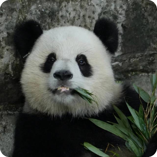 科普，明瑶医生头像照片