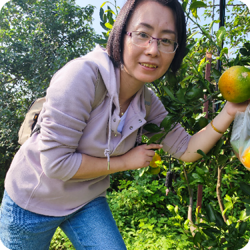 李金辉