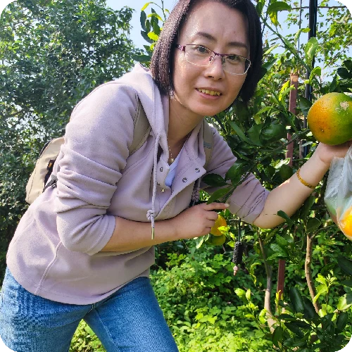 李金辉