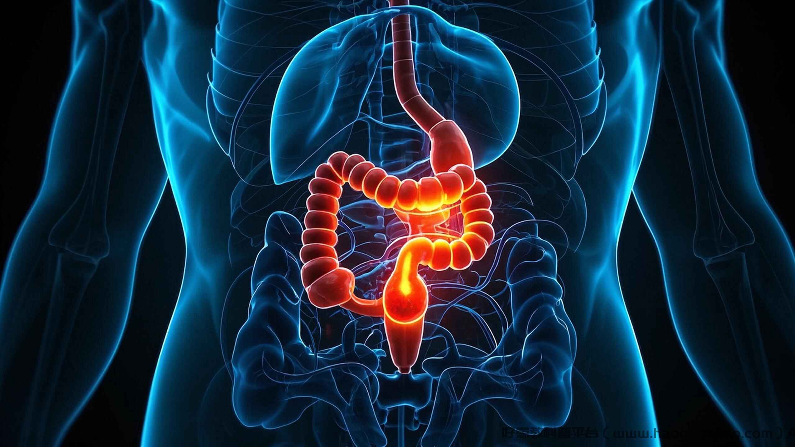 科普，急性腸炎警惕！發(fā)作信號+緊急應對法封面圖