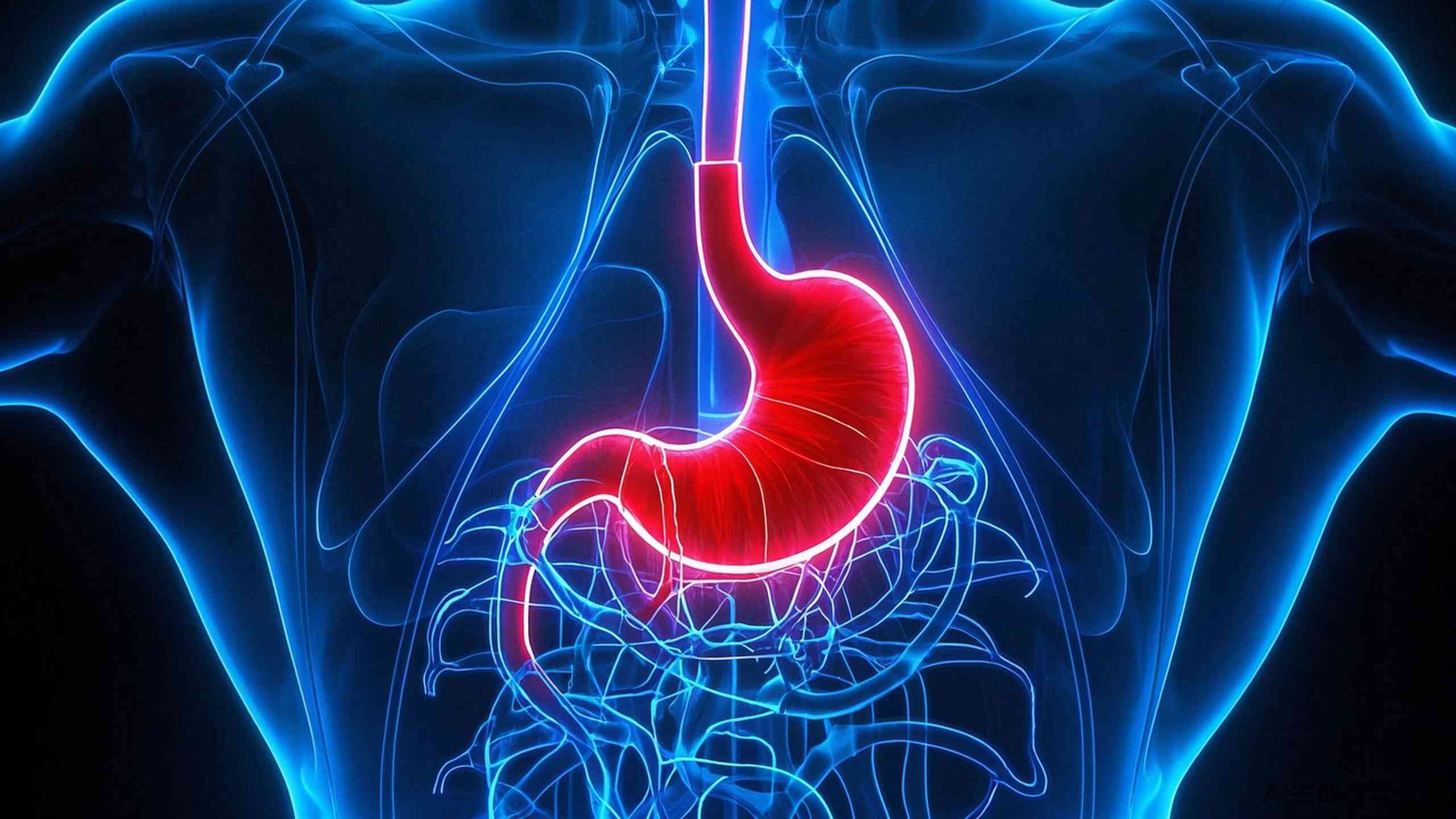 反流性食管炎：一种常见但易被忽视的消化疾病封面图