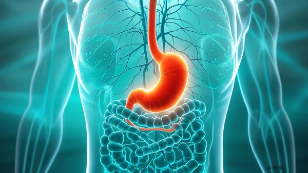 探究慢性胃炎、消化不良与肝功能不全：病因、治疗及预防全解析