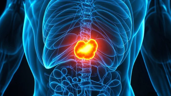 麻醉在腹腔肿瘤手术中的关键作用