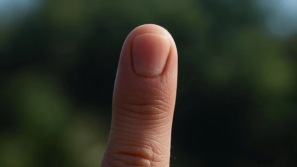 深入了解指骨骨折的诊断与治疗