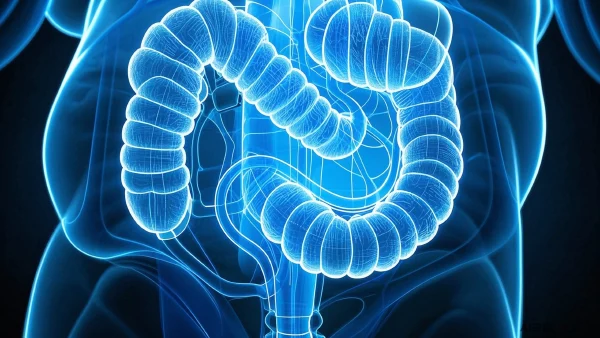 罕见肿瘤：解析十二指肠分化腺癌及星形细胞瘤