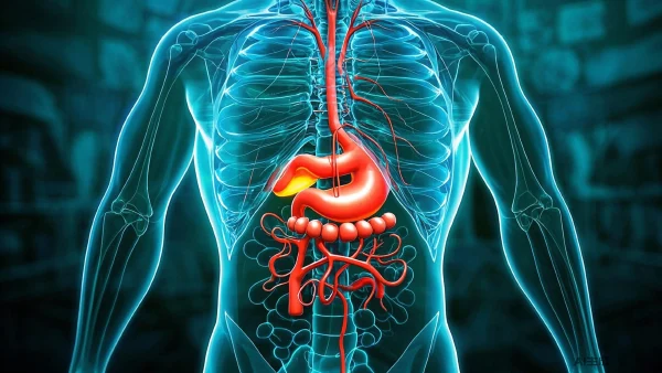 完全了解消化系统疾病:分类、诊断、分期及治疗详解