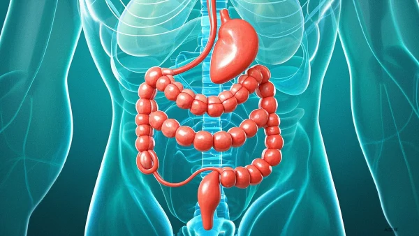 恶心与反击：全面了解轮状病毒胃肠炎