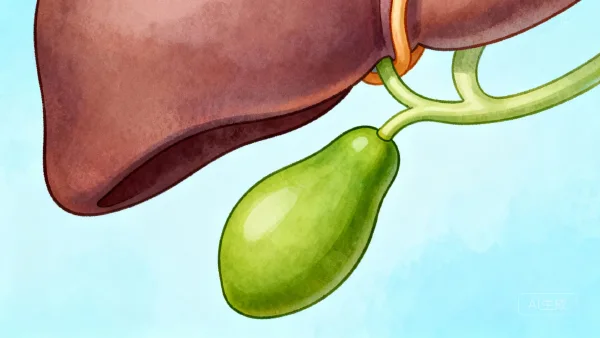 胆管癌晚期治疗的科学用药指南