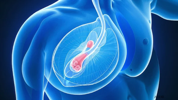 乳腺癌手术麻醉管理:安全与舒适的关键