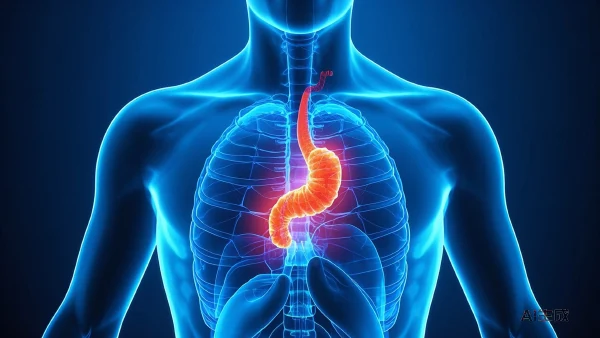 揭开食管胃结合部癌的面纱:我们不能忽视的健康风险