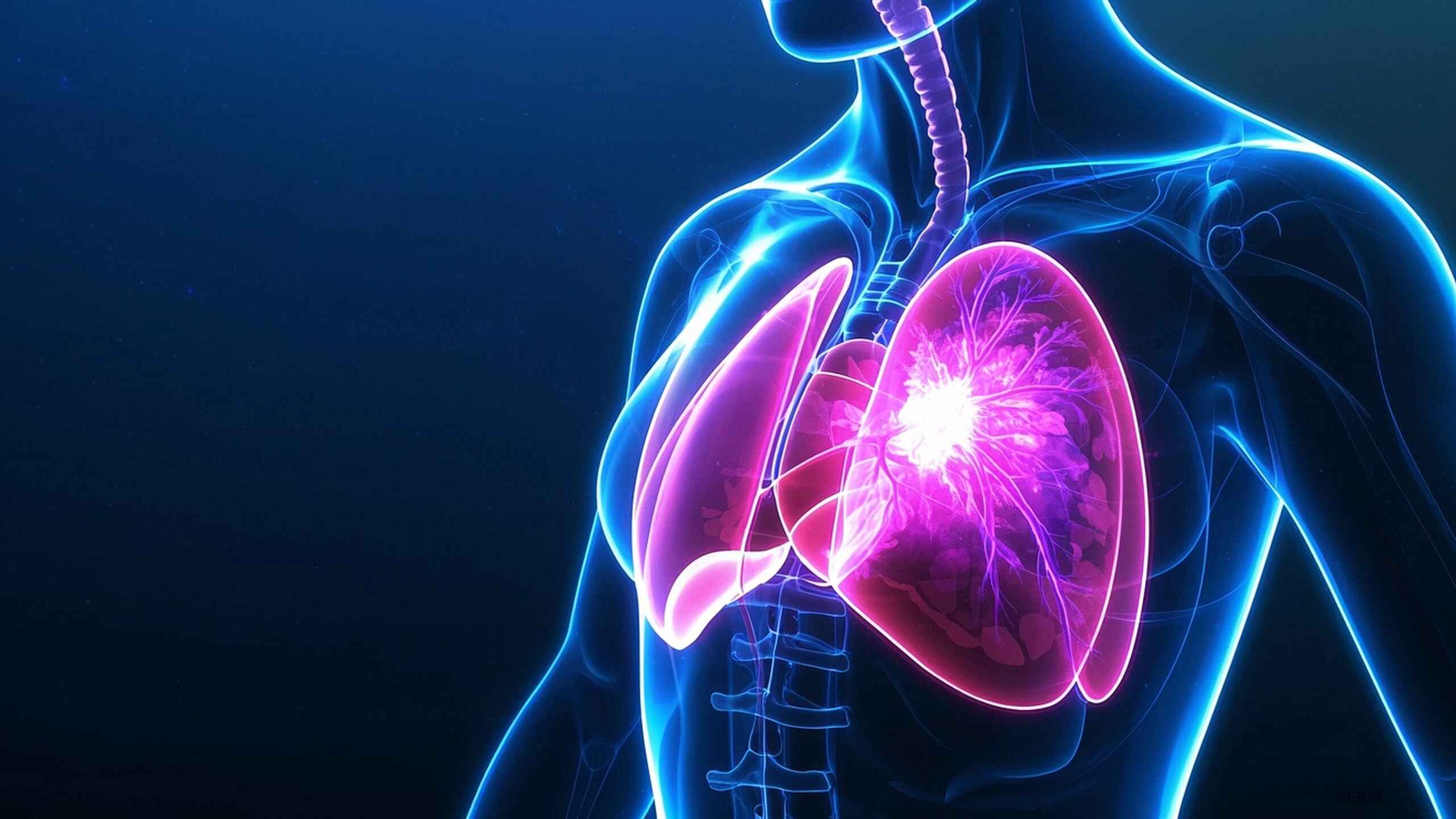 科普，乳腺癌：認識、預防與管理封面圖