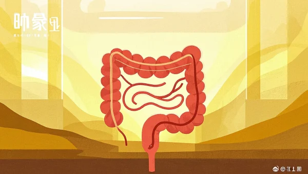 摆脱直肠炎的困扰：日常护理与注意事项指导