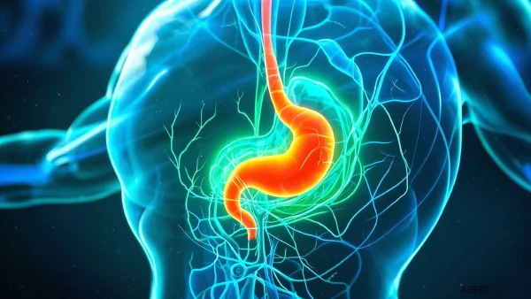 反流性食管炎、慢性胃炎与肠道功能紊乱：你应该知道的健康知识！