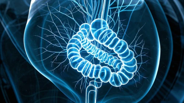 每3分钟1人确诊!结肠癌早期信号和应对方案