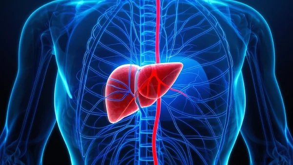 肝癌早期症状、风险与预防指南,重视健康生活