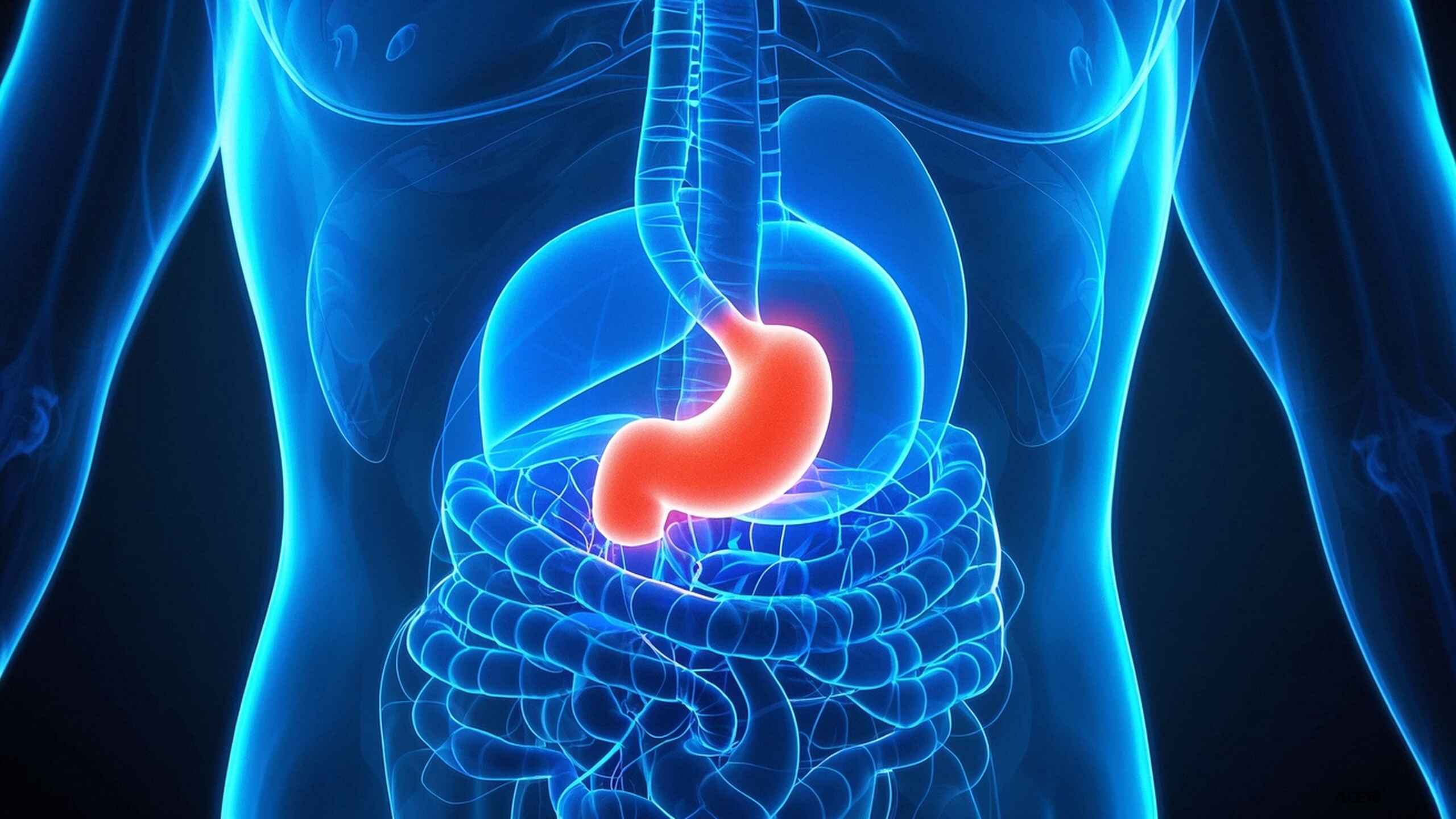 科普，了解胃癌：<span style="color: #da4707">风险</span>、症状与应对 🍀