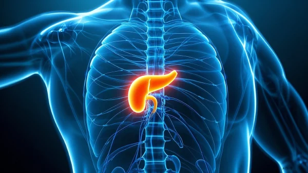 通俗易懂的胰腺癌科普指南