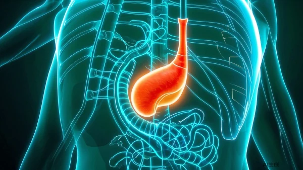 现代医学中的胆囊结石诊疗与管理