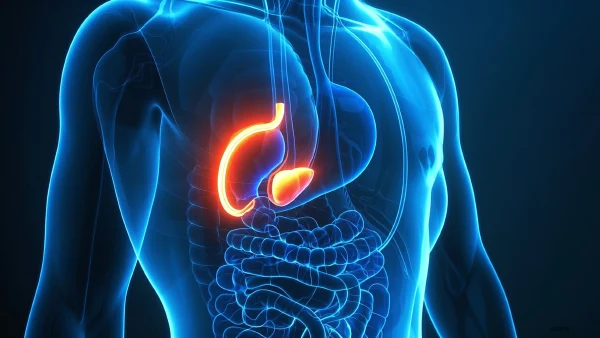 了解胆囊肿瘤：症状、病因与治疗的全面指南