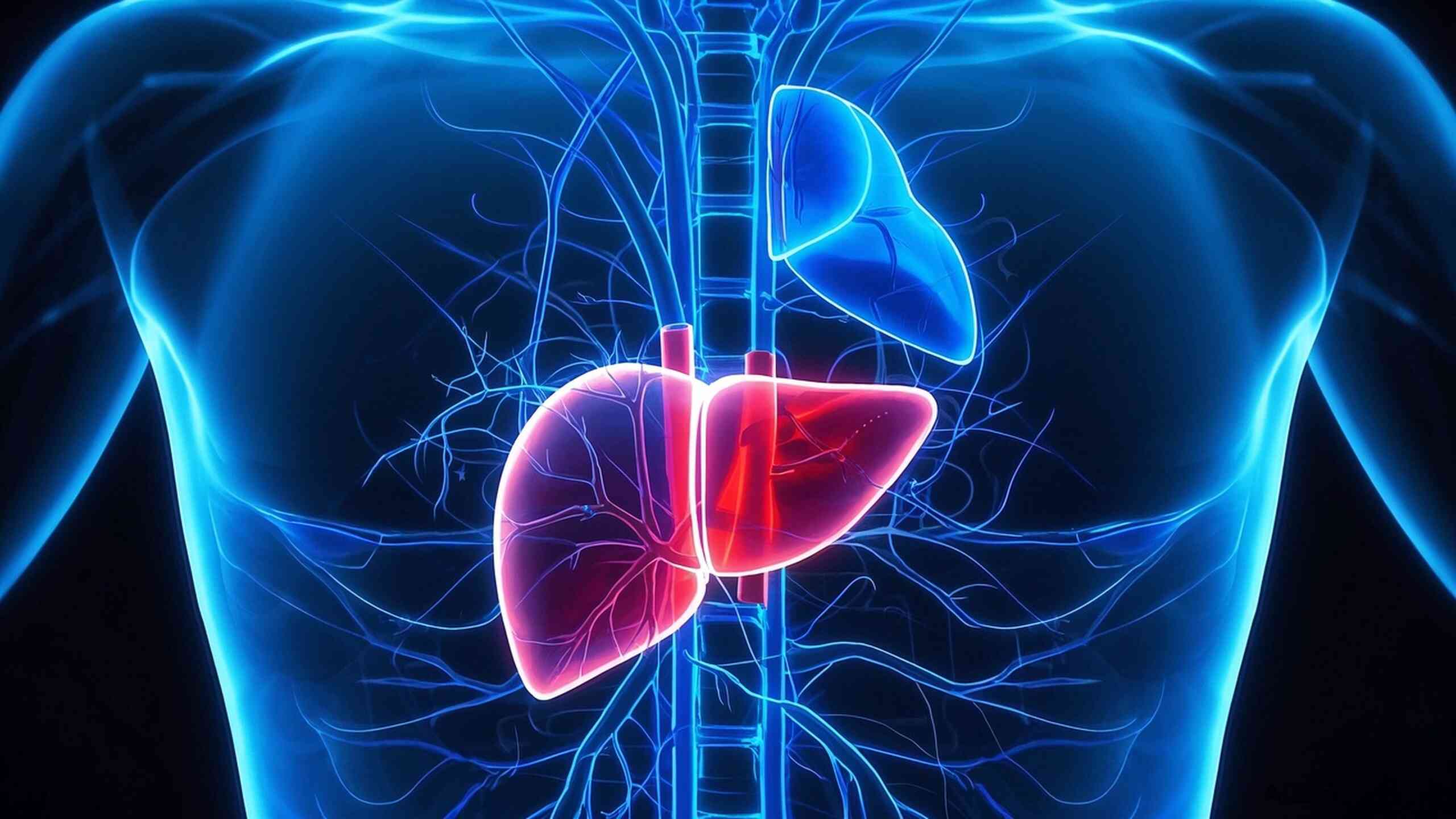肝脏健康：预防与管理——慢性乙型肝炎与肝细胞癌患者的康复之路封面图