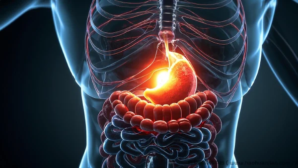 腹腔感染：诊断与治疗详解