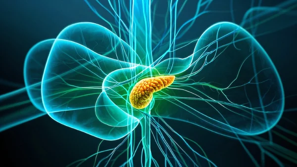 胰腺肿瘤的全面解析:从诊断到治疗