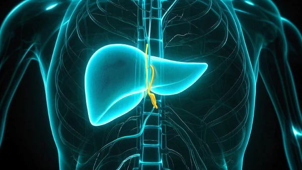 肝脏疾病及其转移的全方位解读