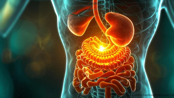 深入了解下消化道穿孔:病因、诊断与治疗策略