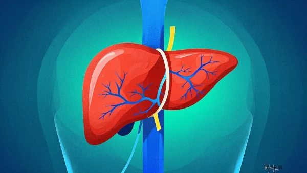 揭开肝癌的真面目：二期肝癌患者需要知道的事