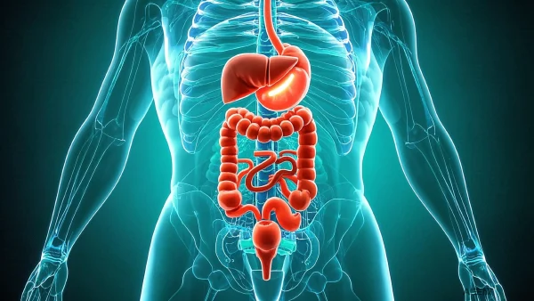 认识和管理肠功能紊乱：从基础到临床