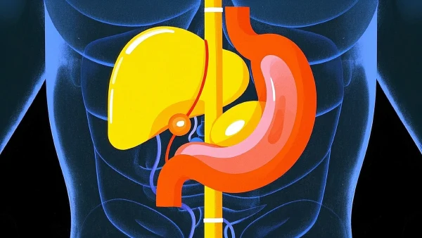 胃癌早发现，生命更从容！——老年人要特别注意胃部健康