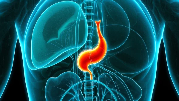 胆囊恶性肿瘤与梗阻性黄疸：理解、治疗与未来展望