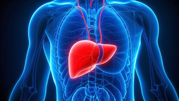 解锁肝癌的秘密：介入治疗的定义与原理解析