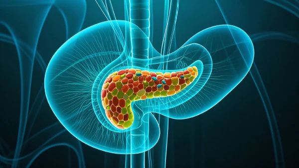 揭开胰腺导管内乳头状黏液肿瘤的面纱:诊断标准和方法的全景解析