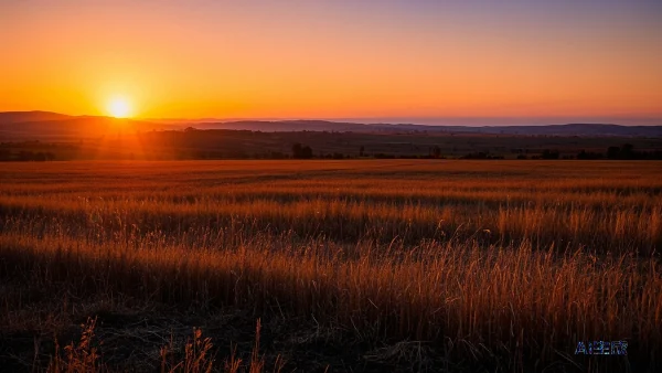 白露时节：健康养生的全面指南
