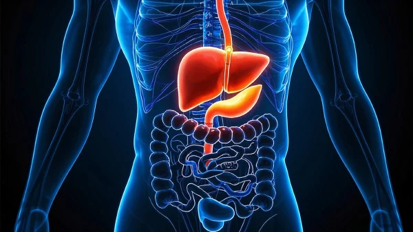 腹胀的秘密：全面解读原因、症状与最佳治疗方案