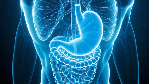 深入了解胃溃疡：从诊断到治疗的综合指南