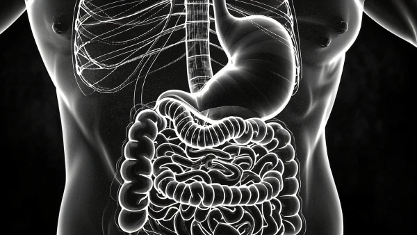 胃肠道出血及相关疾病 - 如何预防与治疗！