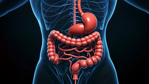 结肠癌早发现:认识症状与科学预防指南