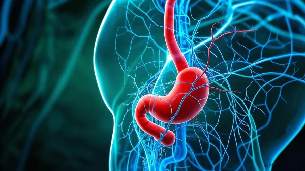 精准解读慢性萎缩性胃炎：诊断与管理全攻略