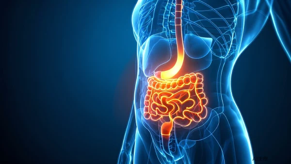 直肠癌的健康解读:肝胆胰腺外科视角下的风险、症状与治疗 🩺