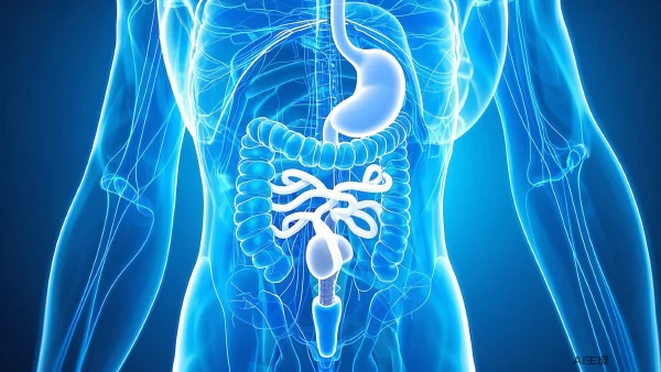 结肠癌早期信号与预防指南:关注肠道健康