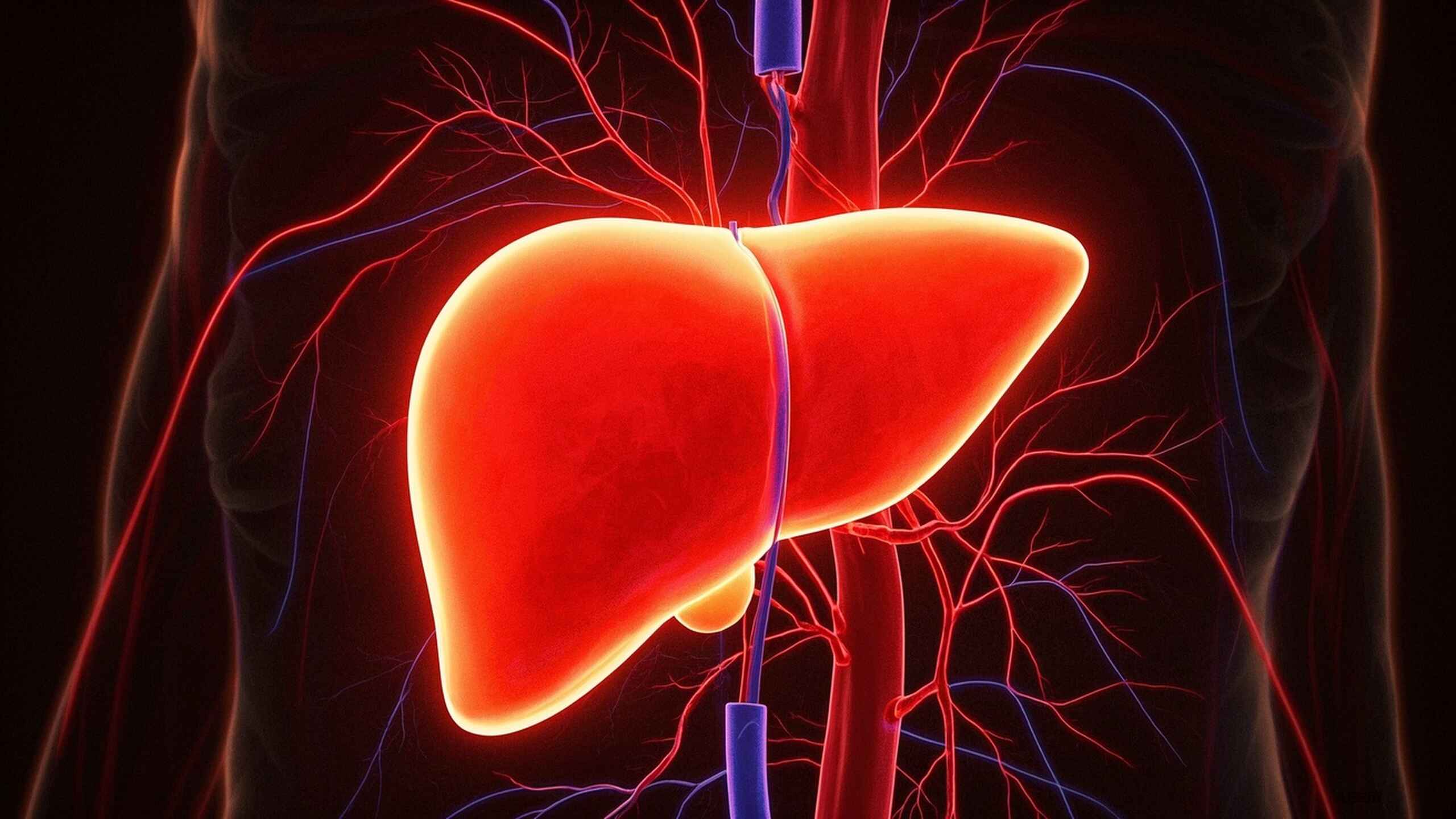 科普，<span style="color: #da4707">乙肝</span>傳播途徑與預防：全面了解<span style="color: #da4707">健康</span>風險與防護策略