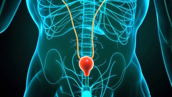 膀胱结石：了解、治疗与预防