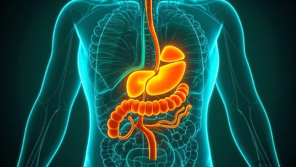 警惕腹部奇袭！深度解析上腹部恶性肿瘤的防治要点