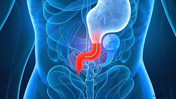 急性阑尾炎：病理解析及治疗进展