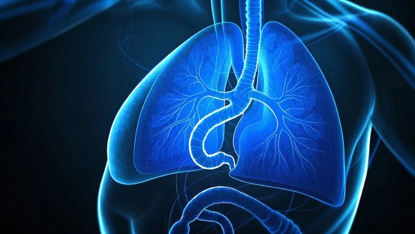 全面解析食管癌:病因、诊断、分期及治疗策略